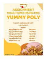 tiểu luận hoạch định marketing yummy poly
