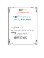tiểu luận truyền thông marketing tích hợp tập đoàn th true milk