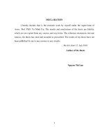 Luận văn thạc sĩ: Study on inundation due to storm surge for Con Dao island