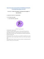 tiểu luận phân tích bối cảnh doanh nghiệp vàthị trường tên thương hiệu trang sức genz