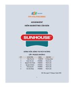 assignment môn marketing căn bản