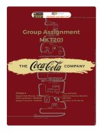group assignment the cocacola company