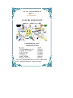 báo cáo assignment môn kỹ năng làm việc