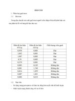 báo cáo phân loại gạch men