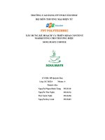 tiểu luận xây dưng kế hoạch và triển khai contentmarketing cho thương hiệu soulmate coffee