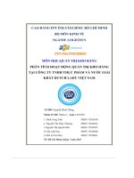 tiểu luận phân tích hoạt động quản trị kho hàngtại công ty tnhh thực phẩm và nước giảikhát dutch lady việt nam