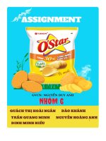 tiểu luận trình bày tổng quan về doanh nghiệp orion