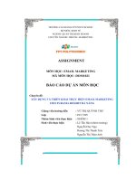 Báo Cáo Dự Án Môn Học  Xây Dựng Và Triển Khai Thực Hiện Email Marketing Cho Furama Resort Đà Nẵng.pdf