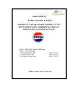 Nghiên Cứu Hành Vi Khách Hàng Và Xây Dựng Chiến Lược Marketing Cho Sản Phẩm Pepsi Vị Chanh Mật Ong.pdf