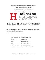 ĐÁNH GIÁ HOẠT ĐỘNG MARKETING CỦA LEVI’S TẠI THỊ TRƯỜNG VIỆT NAM