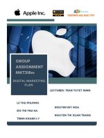 digital marketing plan apple inc