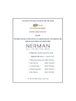 tiểu luận chủ đề tìm hiểu hành vi tiêu dùng của khách hàng với nerman đểcho ra mắt dòng sản phẩm mới