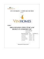 organization structure and design in vinhomes jsc