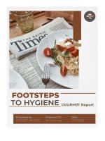footsteps to hygiene final report
