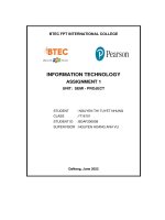 Information Technology Assignment 1 Unit  Semi - Project.pdf