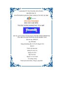 tiểu luận đề tài lập và thực thi kế hoạch truyền thông mrrketing tích hợp cho sản phẩm sữa tươi vinamilk 100