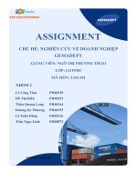 tiểu luận chủ đề nghiên cứu về doanh nghiệp gemadept