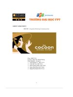 report group assignment mkt304 cocoon