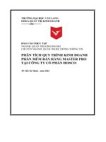 Phân Tích Quy Trình Kinh Doanh Phần Mềm Bán Hàng Master Pro Tại Công Ty Cổ Phần Hosco.pdf