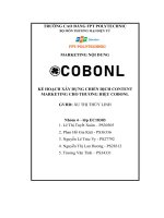 tiểu luận kế hoạch xây dựng chiến dịch contentmarketing cho thương hiệu cobonl