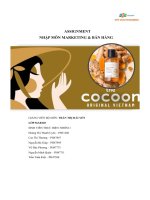 tổng quan về doanh nghiệp cocoon việt nam