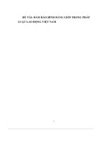 đề tài đảm bảo bình đẳng giới trong pháp luật lao động việt nam