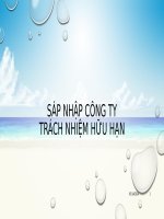Tiểu luận - Kế toán công ty -  đề tài - Sáp nhập công ty Trách Nhiệm Hữu Hạn