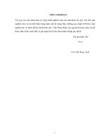 Luận văn thạc sĩ Xây dựng công trình biển: Mô hình nước dâng do bão ven biển Vịnh Bắc Bộ