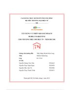 tiểu luận xây dựng và triên khai kế hoạch mobile marketing cho thương hiệu double tn tiệm decor