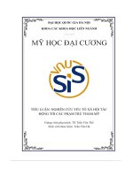 tiểu luận nghiên cứu yếu tố xã hội tác động tới các phạm trù thẩm mỹ