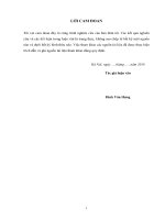 Luận văn thạc sĩ Quản lý xây dựng: Nghiên cứu giải pháp nâng cao năng lực quản lí dự án của Ban quản lí dự án đầu tư xây dựng công trình giao thông và đô thị thành phố Hà nội để thực hiện dự án phát triển đô thị NHật Tân - Nội Bài