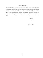 Luận văn thạc sĩ Xây dựng công trình thủy: Nghiên cứu ảnh hưởng của cột nước tràn đỉnh tới ổn định đập đất