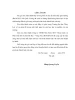 Luận văn thạc sĩ Xây dựng công trình thủy: Nghiên cứu công nghệ thi công cấu kiện mới áp dụng cho bảo vệ bờ và đê biển Tiền Hải, tỉnh Thái Bình