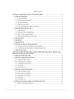 tiểu luận tổng quan thương mại điện tử thương hiệu lyn clothes