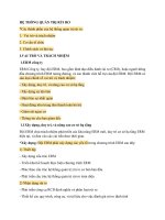 Tiểu luận - QUẢN TRỊ RỦI RO DOANH NGHIỆP - đề tài -  HỆ THỐNG QUẢN TRỊ RỦI RO
