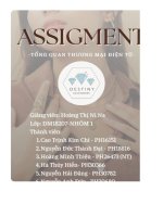 tiểu luận tổng quan thương mại điện tử thương hiệu aurora shimmer accessories