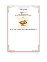 tiểu luận xây dựng kế hoạch và triển khai marketing onlinecho thương hiệu hifive