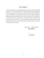 Luận văn thạc sĩ Xây dựng công trình thủy: Phân tích ổn định mái dốc trong không gian ba chiều dựa trên phần mềm ansys