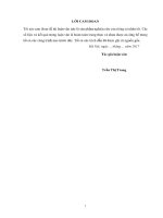 Luận văn thạc sĩ Quản lý xây dựng: Nghiên cứu giải pháp sử dụng hiệu quả nguồn vốn ADB cho dự án phát triển cơ sở hạ tầng nông thôn