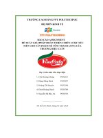 tiểu luận đề xuất giải pháp hoàn thiện chiến lược xúctiến cho sản phẩm mì tôm thanh long củathương hiệu caty