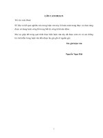 Luận văn thạc sĩ Xây dựng công trình thủy: Nghiên cứu biến động hình thái bờ đảo Lý Sơn và đề xuất các giải pháp đảm bảo ổn định