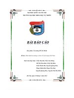 đề tài hình thành tư tưởng cơ bản về cách mạng việt nam