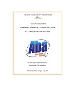 tiểu luận nghiên cứu về hiệu quả của chương trình xúc tiến cho thương hiệu aba