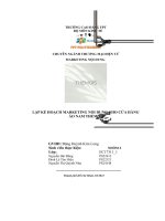 tiểu luận lập kế hoạch marketing nội dung cho cửa hàng áo nam themois