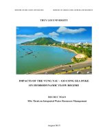 Luận văn thạc sĩ Quy hoạch và quản lý tài nguyên nước: Impacts of the Vung Tau - Go cong sea dyke on hydrodynamic flow regime
