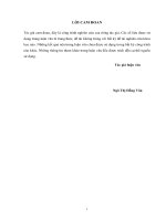 Luận văn thạc sĩ Quản lý Kinh tế: Phát triển kinh tế hộ gia đình trên địa bàn huyện Đồng Hỷ, tỉnh Thái Nguyên