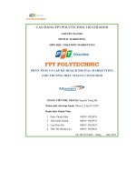 tiểu luận phân tích và lập kế hoạch digital markettingcho thương hiệu masan consumer