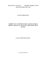 Luận án tiến sĩ Kỹ thuật tài nguyên nước: Nghiên cứu cơ sở khoa học lập quy hoạch phòng chống úng ngập dựa trên phân tích rủi ro