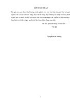 Luận văn thạc sĩ Xây dựng công trình thủy: Nghiên cứu ảnh hưởng của giải pháp xử lý mái đến ổn định mái hạ lưu đập - áp dụng cho hồ chứa nước Trước Đông - Đà Nẵng