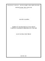 Luận án thạc sĩ Xây dựng công trình thủy: Nghiên cứu nguyên nhân sự cố sạt trượt và đề xuất giải pháp ổn định tràn sự cố qua đê